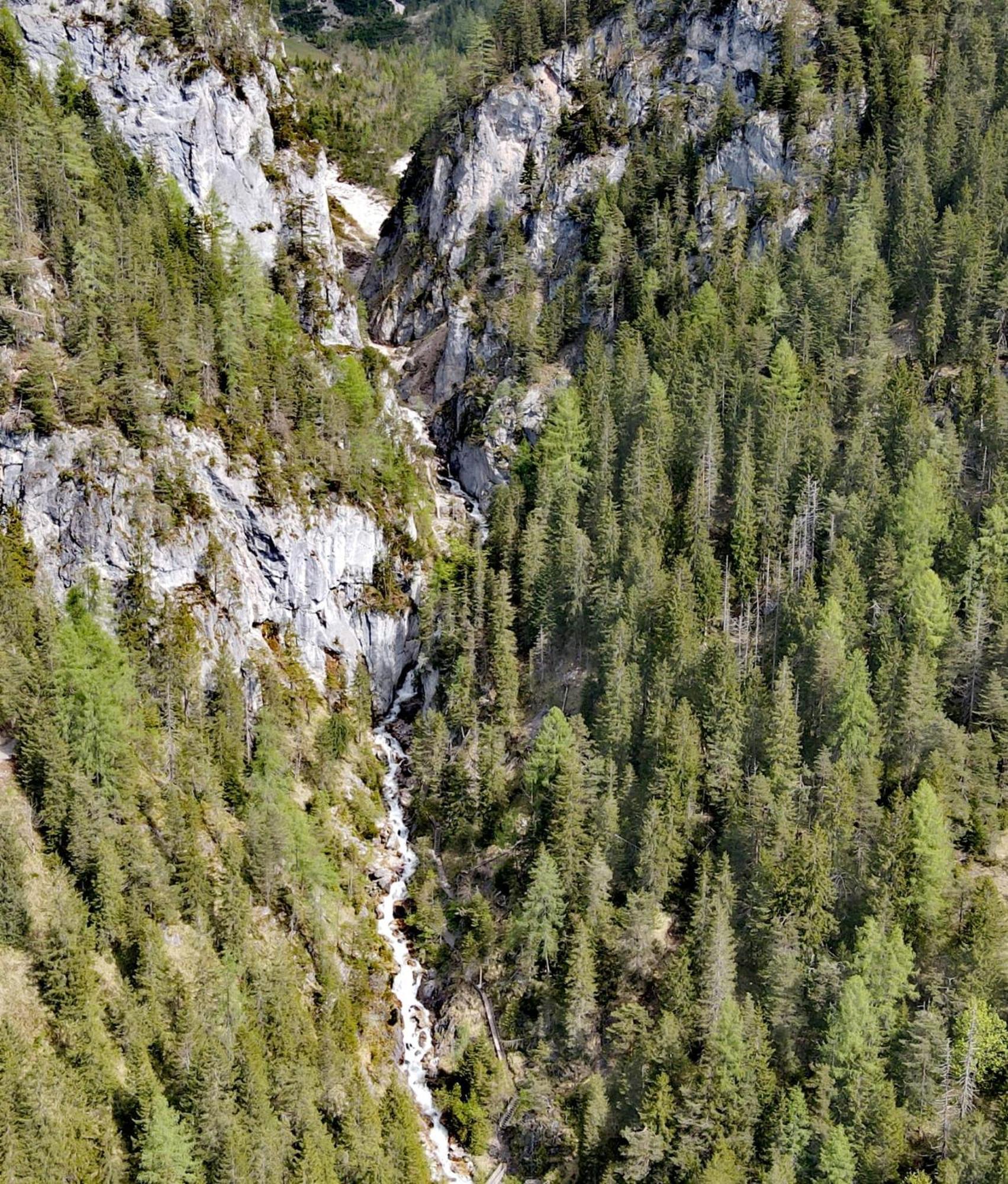 Ferienwohnung Fliegenpilz Ramsau am Dachstein Exterior foto